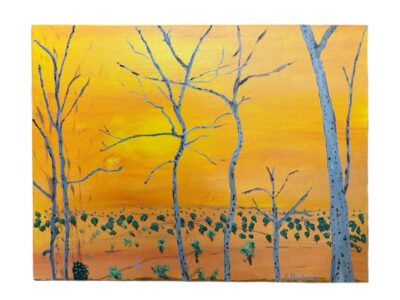 <b>Title: </b>Naked Gums<br /><b>Artist: </b>George<br /><b>Description: </b>Landscape Dale WA, inspired by my stay in WA.<br /><b>Medium: </b>Acrylic on canvas<br /><b>Price: </b>$180 <br /><b>Artist Comments: </b>A great place to create art. Love the community connections. <br /><br />